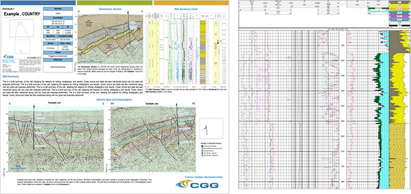 East Africa well and seismic montage