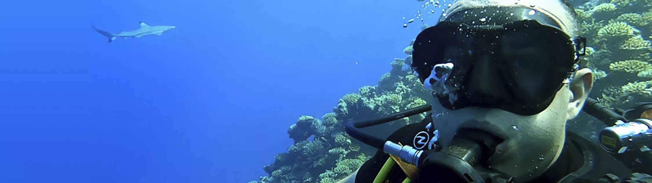 Illustration of Brenton doing scuba diving